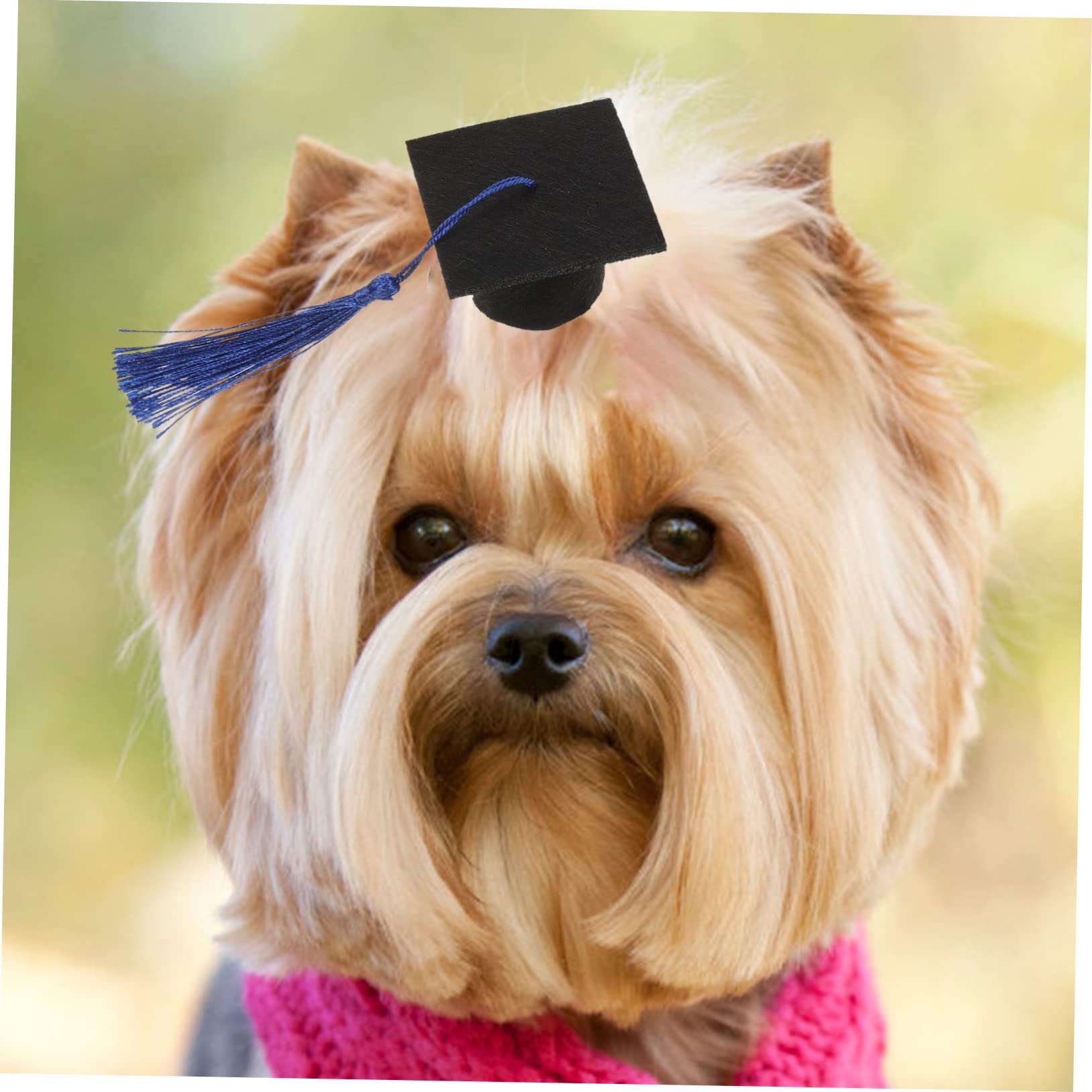 Amazon | Kisangel 4個ペット卒業帽 子犬と子猫用 タッセル付き卒業